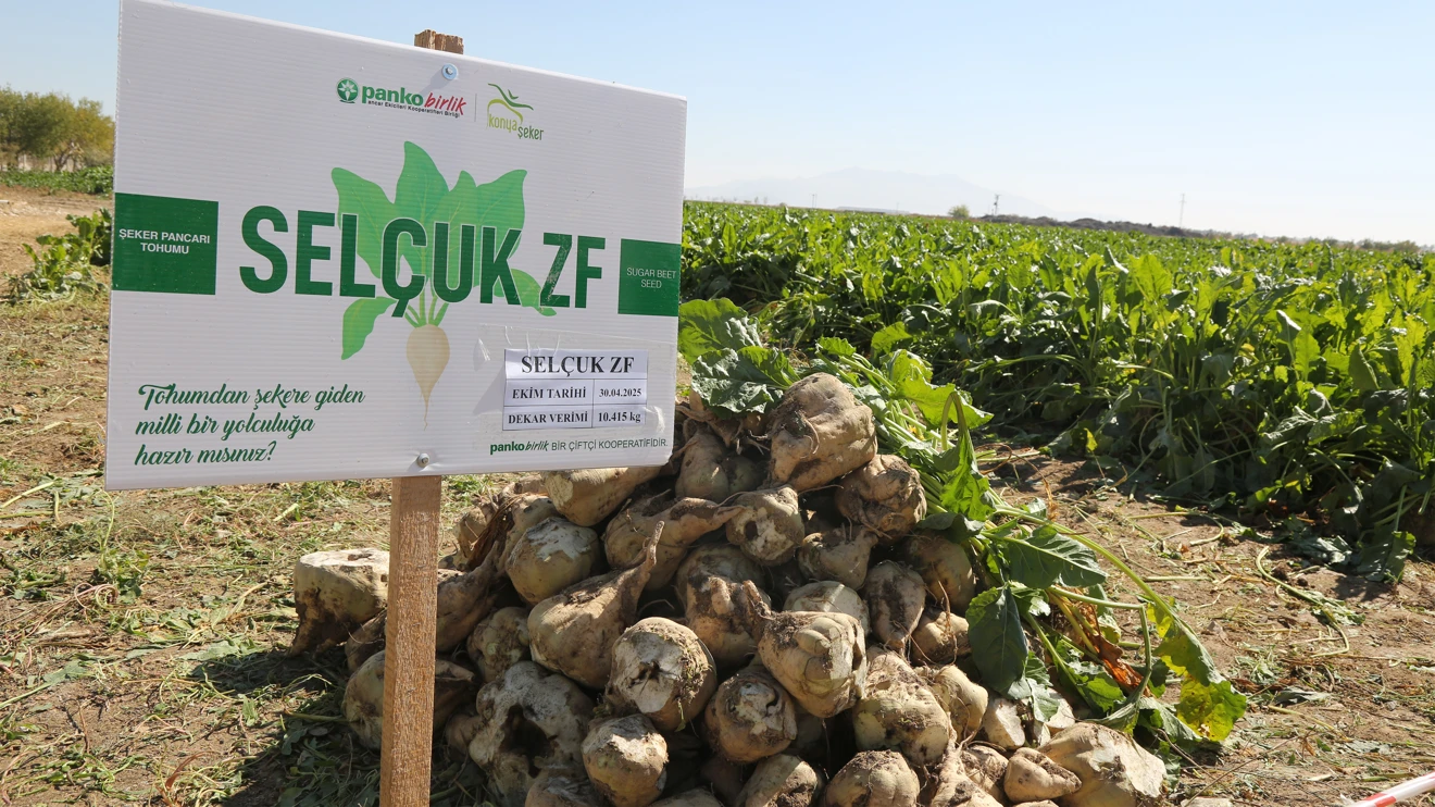 Selçuk Üniversitesi ve PANKOBİRLİK’ten tarihi başarı